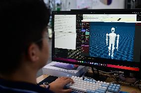 Intelligent Robot Industry - China