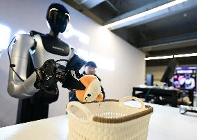 Intelligent Robot Industry - China
