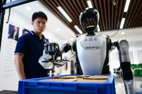 Intelligent Robot Industry - China