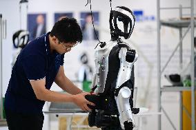 Intelligent Robot Industry - China