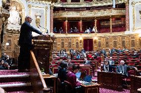 Finance Bill debate at the Senate - Paris