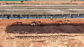 Qingdao Port Ore Terminal