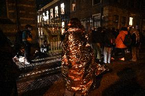 Leiden University Occupation - Leiden