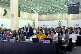 Int'l treaty panel rejects trade curbs on all eels