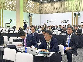 Int'l treaty panel rejects trade curbs on all eels