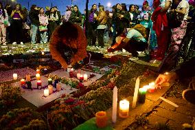 International Day for the Elimination of Violence Against Women Demonstrarions