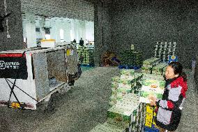 Farms For Egg-laying Hens - China