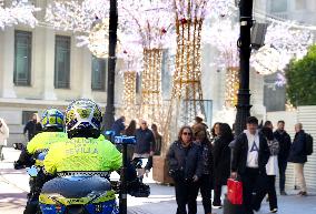 Emergency Plan Level 1 Activated in Seville