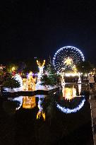 Launch of the Christmas Lights - Nice