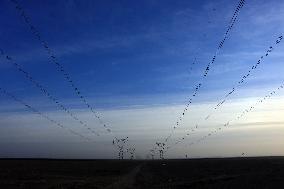 High-voltage Direct Current Transmission Project in Gobi Desert