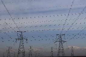 High-voltage Direct Current Transmission Project in Gobi Desert