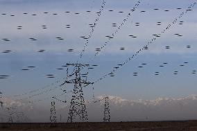 High-voltage Direct Current Transmission Project in Gobi Desert