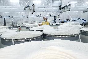 China Manufacturing Industry