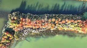 Hunan Songya Lake National Wetland Park - China