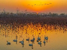 Winter Scenery - China