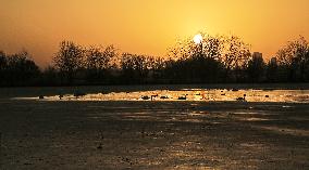 Winter Scenery - China