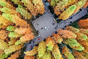 Winter Scenery - China