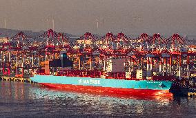 Yangshan Deepwater Port Container Terminal in Shanghai