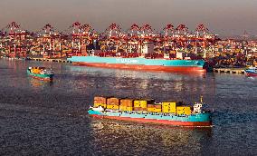 Yangshan Deepwater Port Container Terminal in Shanghai