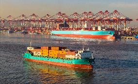 Yangshan Deepwater Port Container Terminal in Shanghai