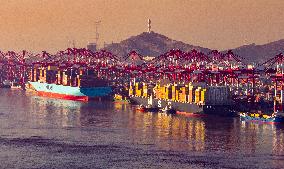 Yangshan Deepwater Port Container Terminal in Shanghai