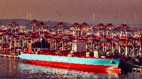 Yangshan Deepwater Port Container Terminal in Shanghai