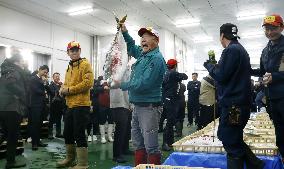 Season's first yellowtail auction