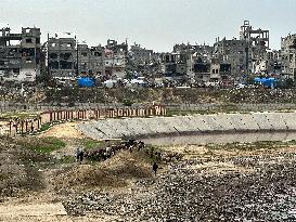 Difficult Humanitarian Conditions Near the Khan Yunis Landfill - Palestine