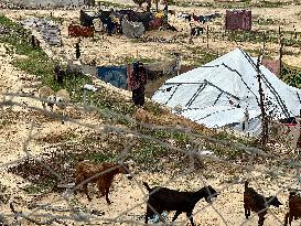 Difficult Humanitarian Conditions Near the Khan Yunis Landfill - Palestine