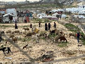 Difficult Humanitarian Conditions Near the Khan Yunis Landfill - Palestine
