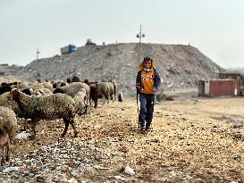 Difficult Humanitarian Conditions Near the Khan Yunis Landfill - Palestine