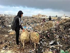 Difficult Humanitarian Conditions Near the Khan Yunis Landfill - Palestine
