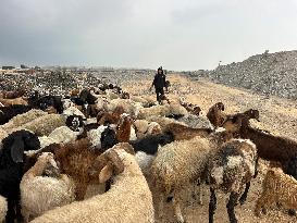Difficult Humanitarian Conditions Near the Khan Yunis Landfill - Palestine