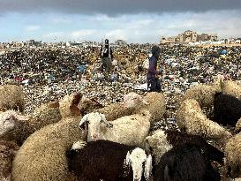 Difficult Humanitarian Conditions Near the Khan Yunis Landfill - Palestine