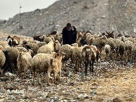 Difficult Humanitarian Conditions Near the Khan Yunis Landfill - Palestine