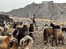 Difficult Humanitarian Conditions Near the Khan Yunis Landfill - Palestine