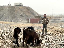 Difficult Humanitarian Conditions Near the Khan Yunis Landfill - Palestine