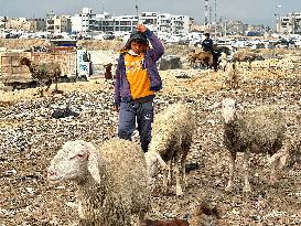 Difficult Humanitarian Conditions Near the Khan Yunis Landfill - Palestine