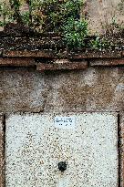 Cemetery of Abandoned Graves - Toulouse