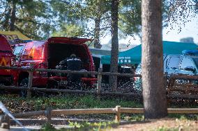 EMU Deployment In Response To African Swine Fever Outbreak - Barcelona