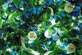 White House Christmas Design - Washington