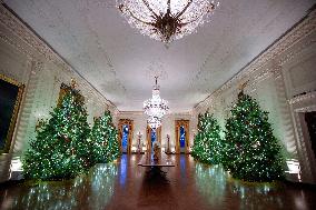White House Christmas Design - Washington