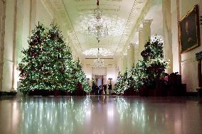 White House Christmas Design - Washington