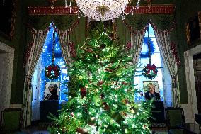 White House Christmas Design - Washington