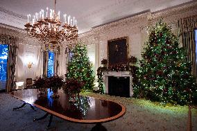 White House Christmas Design - Washington