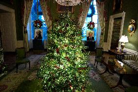White House Christmas Design - Washington