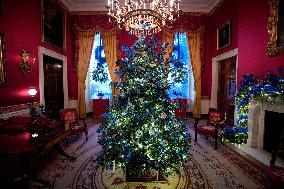 White House Christmas Design - Washington