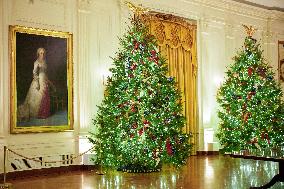 White House Christmas Design - Washington