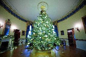 White House Christmas Design - Washington
