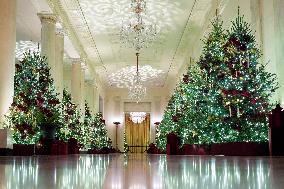 White House Christmas Design - Washington